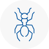 Ant Removals In Tenby