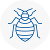 Bed Bug Extermination In Tenby