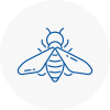 Bee Nest Removal Tenby