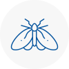 Moth Control Specialists In Tenby