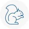 Tenby Rodent Removals